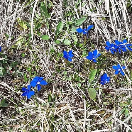 Couette-café Trista 3*